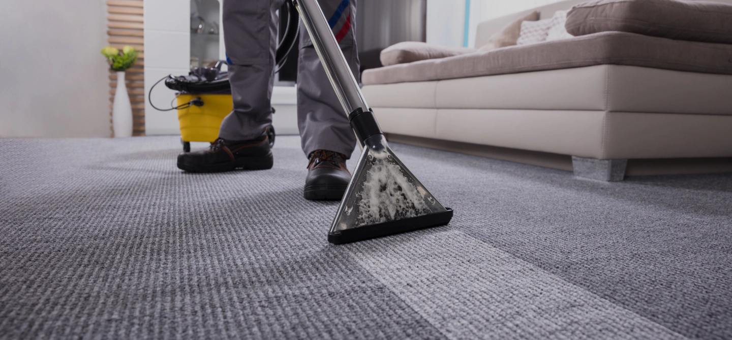 carpet cleaning service new haven in