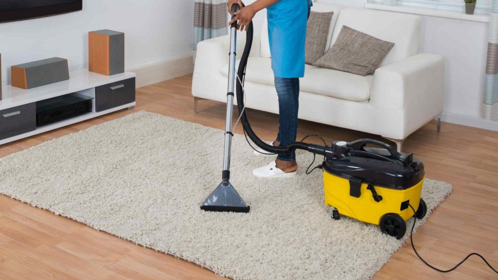 Skilled Carpet Cleaning Technicians in Auburn IN