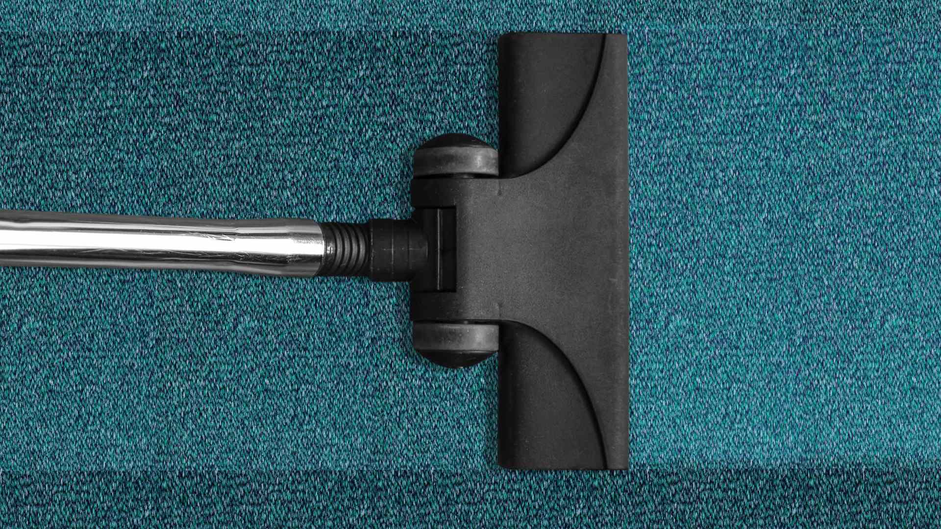Skilled Carpet Cleaning Technicians serving Auburn IN